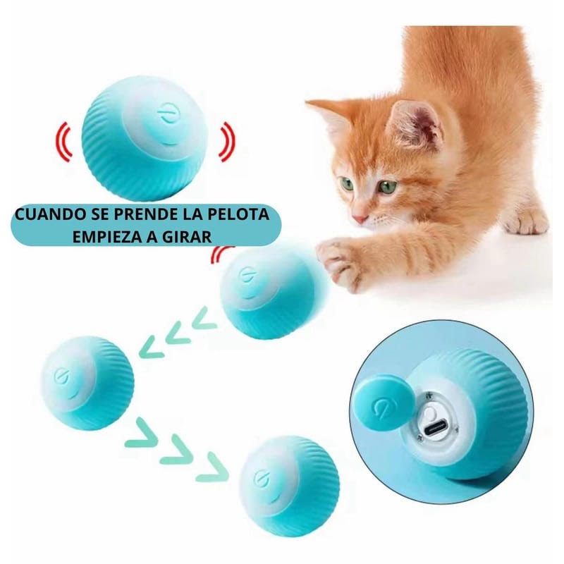 𝗣𝗘𝗟𝗢𝗧𝗔 𝗚𝗥𝗔𝗩𝗜𝗧𝗔𝗖𝗜𝗢𝗡𝗔𝗟 𝗥𝗘𝗖𝗔𝗥𝗚𝗔𝗕𝗟𝗘🐶🐈
